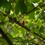 vogelspotters zijn wij